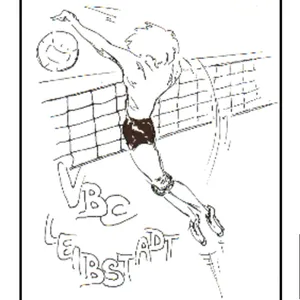 Club Logo VBC Leibstadt