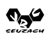 Club Logo VBC Seuzach 1