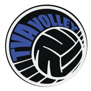 Club Logo TV Arlesheim H2