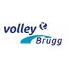 Club Logo VBC Brugg 2