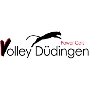 Club Logo Volley Düdingen